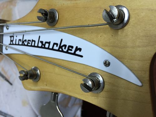 Rickenbacker Bass CUSTOM Acrylic Truss Rod Cover