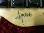 Jim Root Fender Telecaster Signature Logo Decal