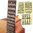 Autocolantes Notas de escala para Guitarra Acustica ou Elétrica