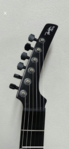 Logo Guitarra Parker P 44 Pro Decal