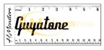 GUYATONE Vs2 Guitar vinyl Logo Sticker